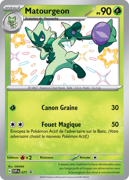 Matourgeon Chromatique - SVP77